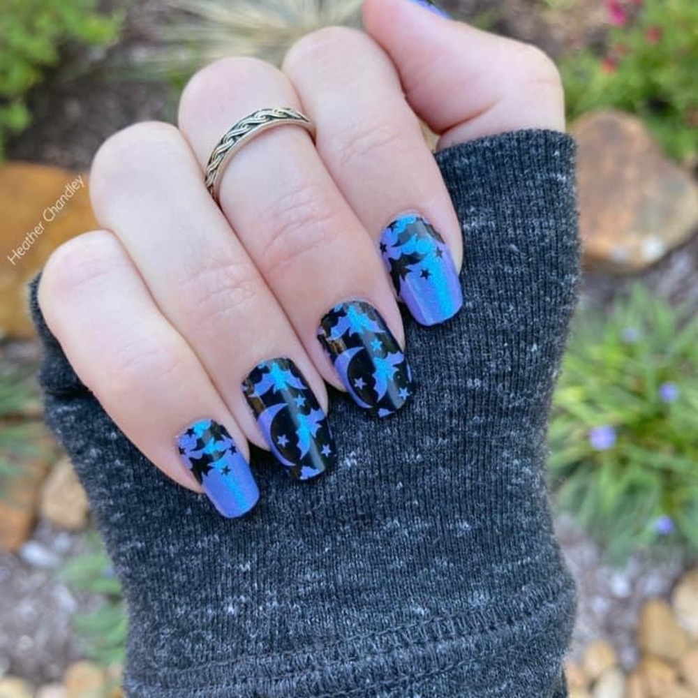 Bats amore